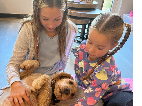 Bernedoodle