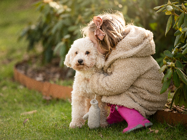 Australian Labradoodle
